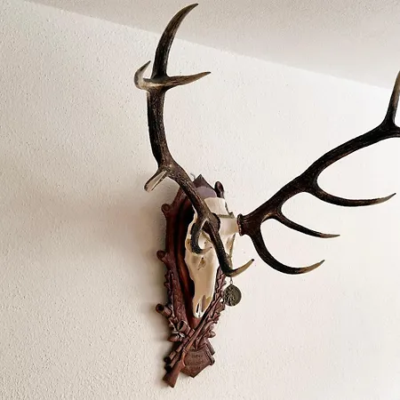 Cresta Jagd, Holz, Aussicht, Parkplatz - Sb28 Apartment St. Moritz