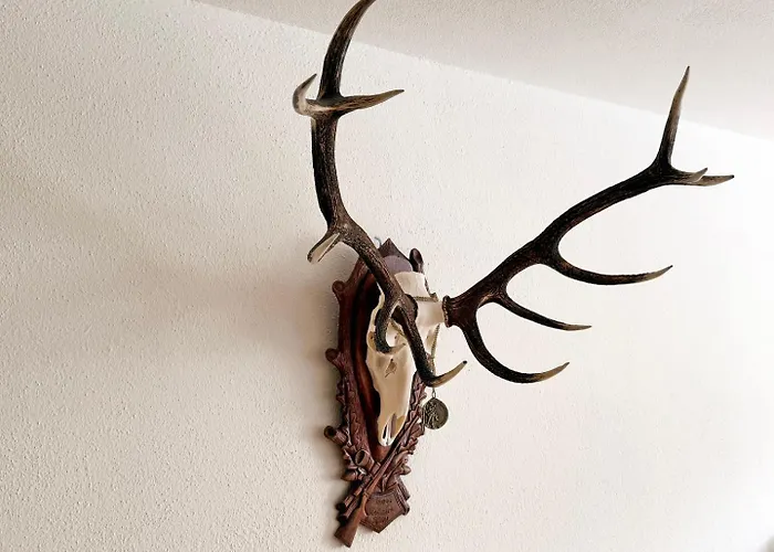 Sb28 - Cresta Jagd, Holz, Aussicht, Parkplatz Apartment St. Moritz