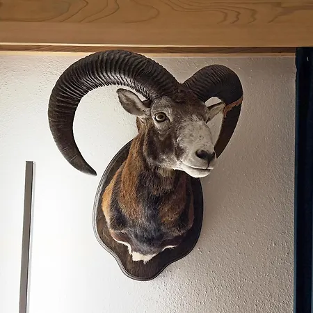 Cresta Jagd, Holz, Aussicht, Parkplatz - Sb28 아파트